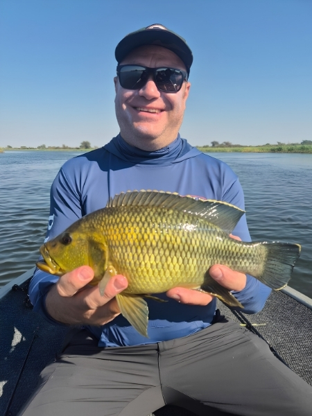 Muchenje River Lodge - Zambezi Region, Namibia - Fishing Tours